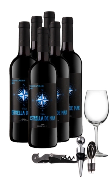WSET新手必备红酒套装（海洋之心6支装+酒具配件组合）（FSA）